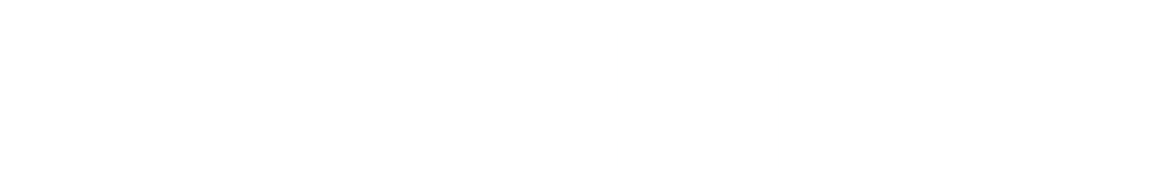 riskified-logo-white