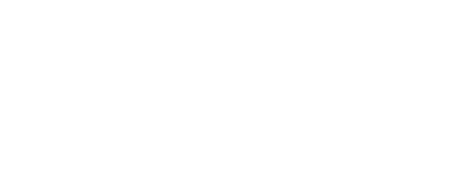 Netflix Logo white