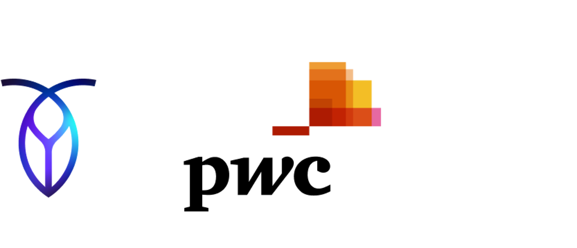 pwc-logo-new