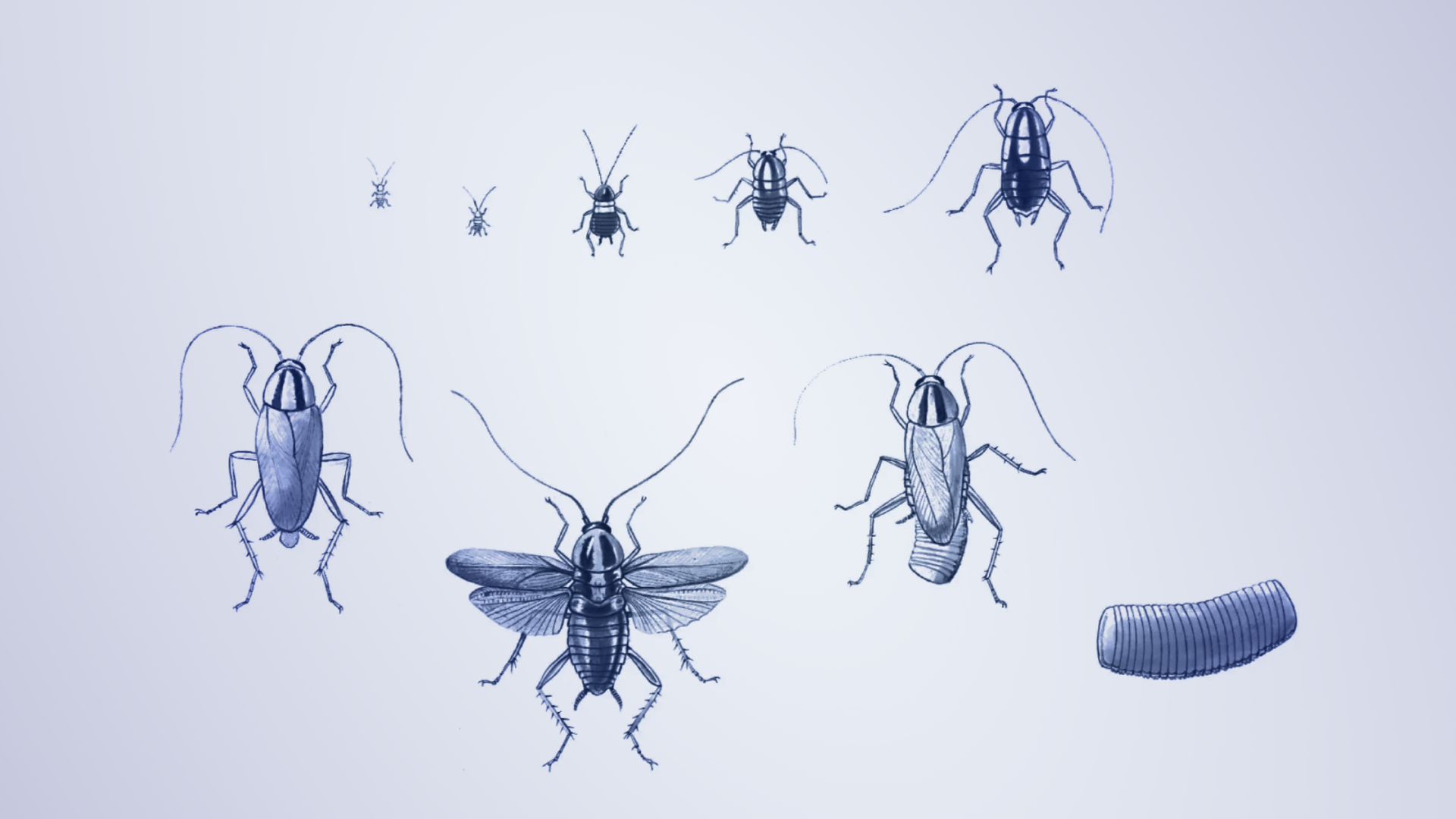 AI Agent Skills for CockroachDB BLOG