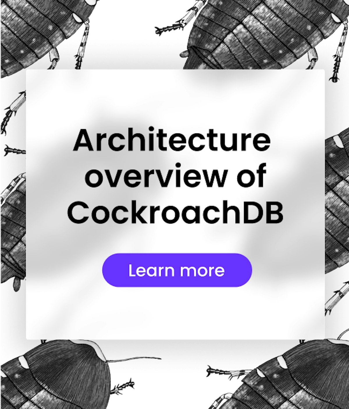 docs-architecture